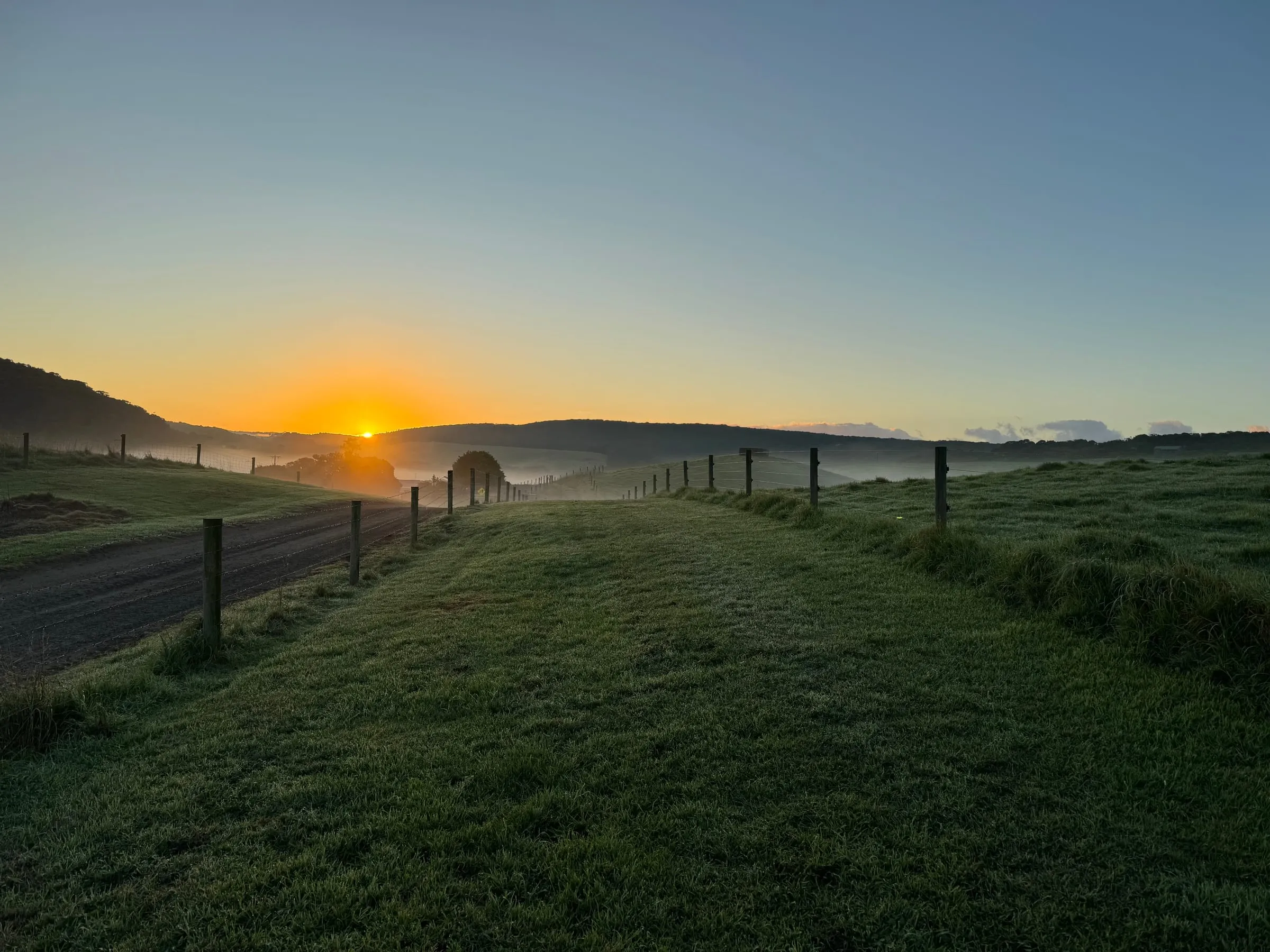 Fence line stretching across a misty paddock at sunrise on a remote Australian property.