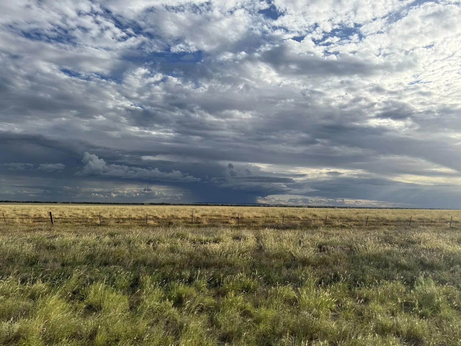 A storm front building over golden savanna grassland, a wire fence line running toward the horizon.